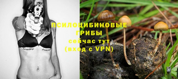 ALPHA PVP Заволжье